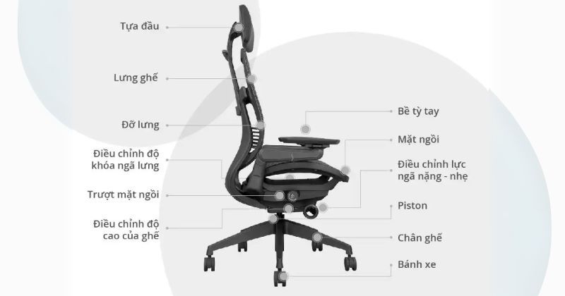 Ghế Nhân viên công thái học Tiền Giang 2